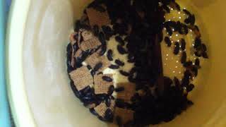 Img 3523 605