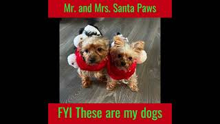 Meme of the day, But its pawsome #mychannel #meme #christmas memes