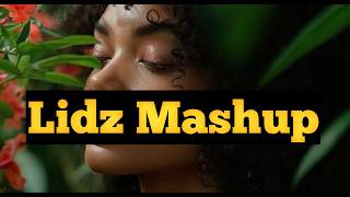 Well Done [Lidz Mashup](2026)🇸🇧
