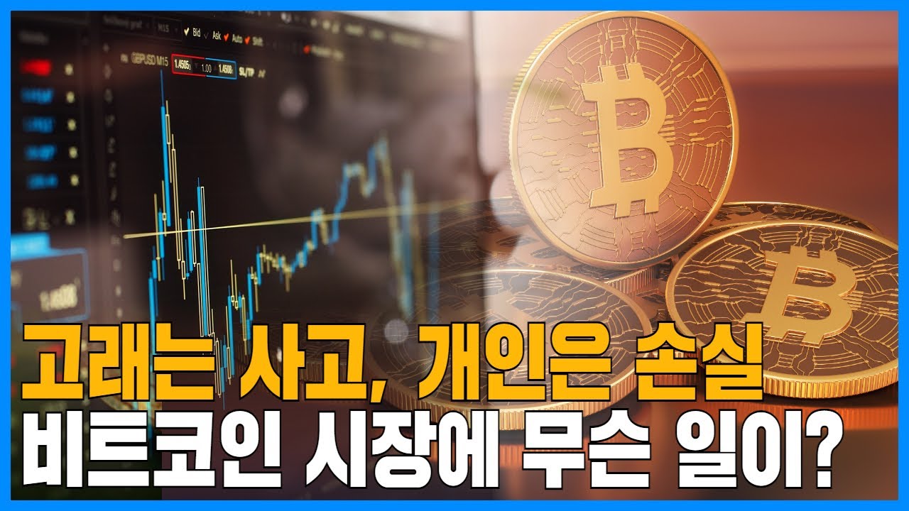 고래는 사고, 개인은 손실…비트코인 시장에 무슨 일이?