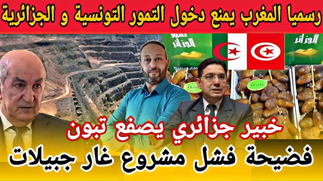 المغرب يرفض دخول التمور التونسية و الجزائرية و خبير اقتصادي جزائري يعلن فشل مشروع غار جبيلات