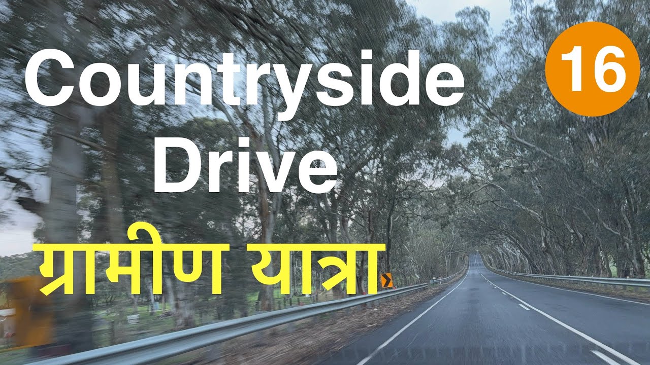 Scenic Drive | Under Tree Canopy & Farmland Views | Episode 16