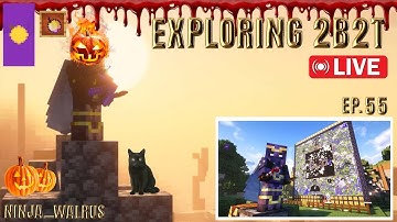 Exploring 2b2t LIVE ep. 55 | Back to the Castle, lots of map art!