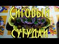 Сиговый сугудай ( сугудай из сига ) Сибирская кухня. Siberian cuisine. Suguday