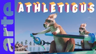 Aviron Athleticus Arte