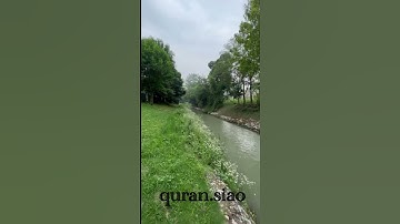 (إِنَّ اللَّهَ وَمَلَائِكَتَهُ يُصَلُّونَ عَلَى النَّبِيِّ ) القارئ ‏ ‏أنس الميمان