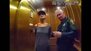 One Frauditor 3 Arrests They Learn Slowly Or Not At All