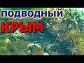 🐠КРЫМ.КАНАКА. ЗАХОД В ВОДУ. ПОДВОДНЫЕ СЪЁМКИ.  Underwater Crimea