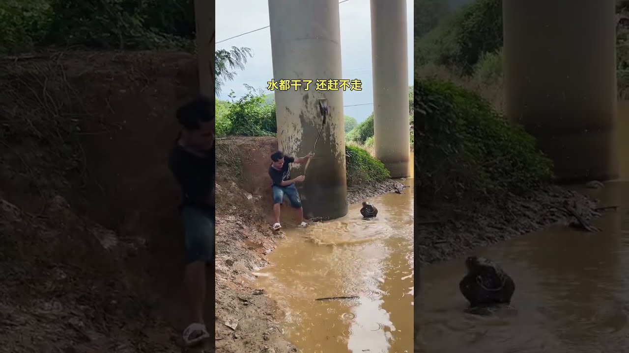 OMG Funny Comedy Fishing Lifeisbutadream Electronicmusic Outdoors Animals