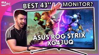 Asus ROG Strix XG43UQ Monitor Review! BEST HDMI 2.1 43 Inch GAMING Monitor?