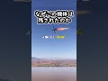 A-10サンダーボルトⅡさん、機体不足と新装備でドローン狩りの王として戦場に君臨してしまう#ゆっくり兵器解説 #イラン情勢 #shorts