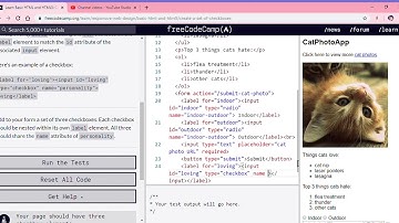Learn Basic HTML and HTML5  Create a Set of Checkboxes