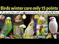 Birds Winter Care 🥶 |Winter Care Tips| |Birds Winter Food| ||BREEDING FORMULA|| 😱