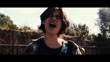 VOLVOX BROTHERS - LAND OF PEACE [Official music video]