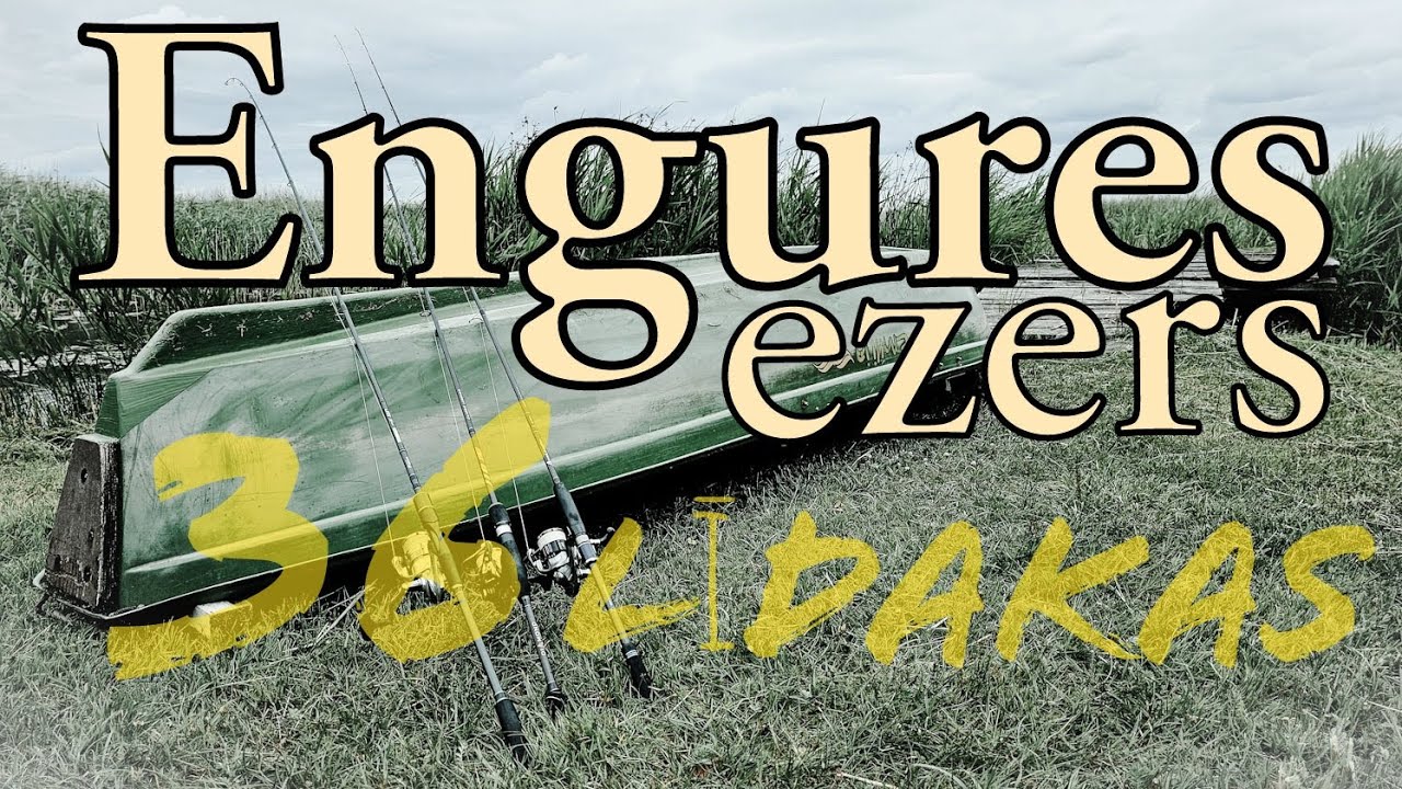Engures ezers, 36 līdakas 