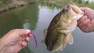 Simple Technique to Catch Spawning Bass (Sight Fishing During the Spring Spawn)