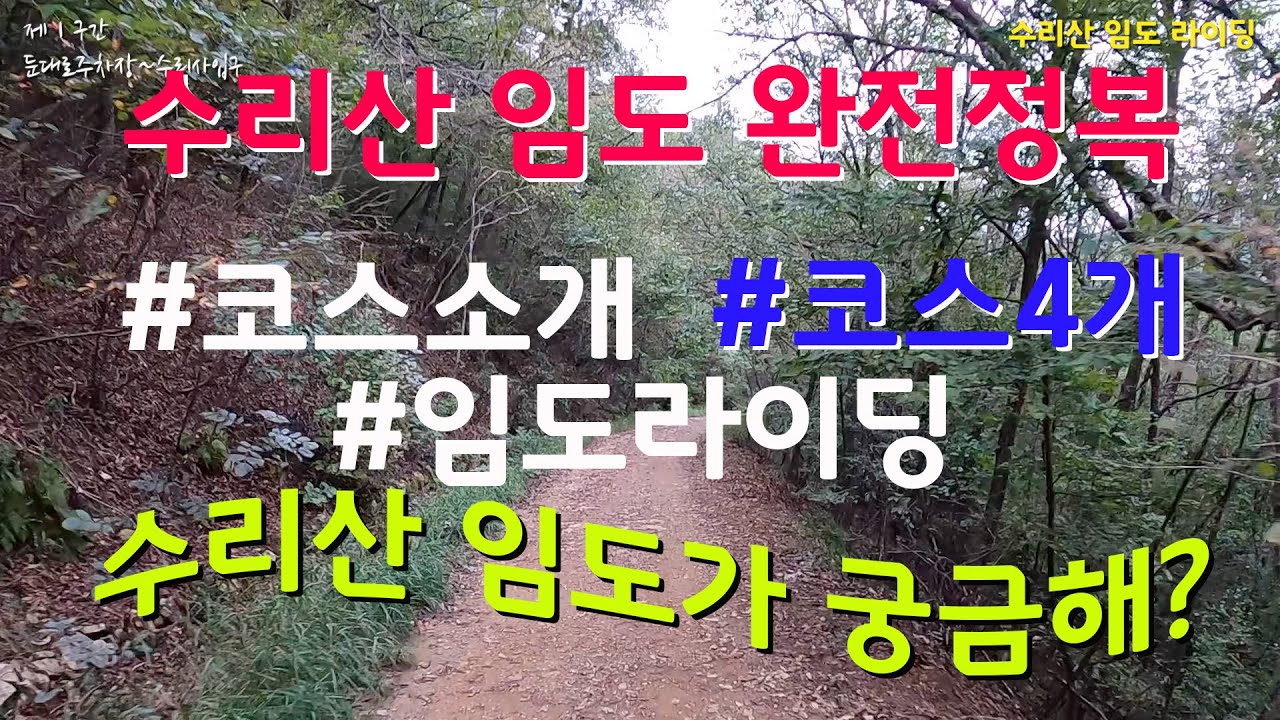 [코스탐방] 수리산 임도가 궁금해? 그럼 드루와~