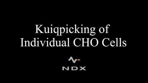 Acquisition of Individual CHO cells using KuiqpicK
