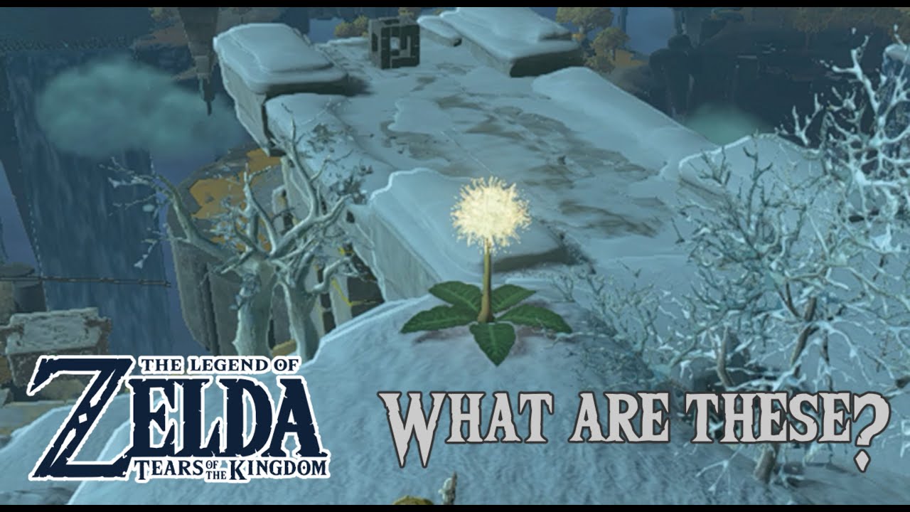 What to do with the dandelions Zelda Tears of the Kingdom Guide YouTube