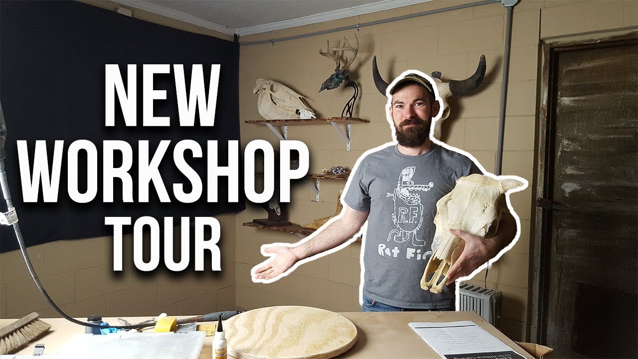 NEW Skull Carving Shed TOUR! YouTube