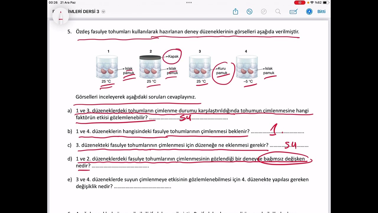6. Sınıf 1. Dönem 2. Yazılı tohumun çimlenmesi 