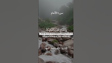 ومن أظلم ممن افترى على الله كذبا #سورة_الأنعام القارئ #خالد_سليمان_المهنا