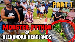 [FULL STORY] The Giant Snake Situation Is Getting Out Of Hand...