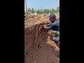 Traditional Hand-Dug Chinese Yam