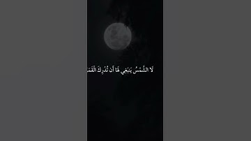 أرح سمعك🥀القارئ:ماهر المعيقلي🍃حالات واتس اب