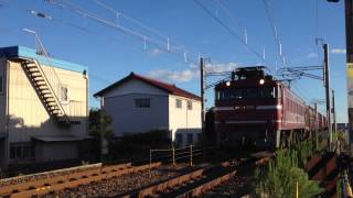 日本海縦貫線貨物列車1072レ 牽引機:EF81 735