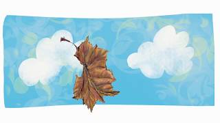 Anim8Nature: Falling Sycamore Leaves