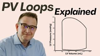 Master PV Loops in 15 Minutes: High‑Yield Cardiac Physiology