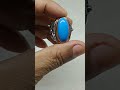 PIRUS PERSIA BIRU POLOSAN MANTAP 👍
