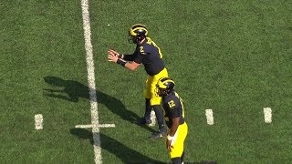 Information Michigan's Offense Finding Identity Guide