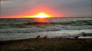 Sandcastle Resort at Lido Beach - SARASOTA