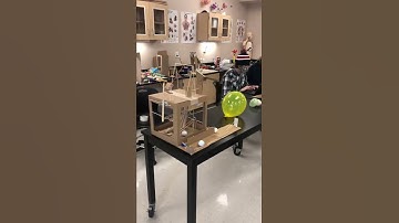 Rube Goldberg #1 - 2022