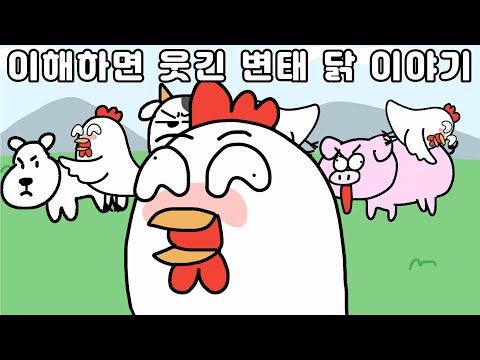 이해하면 웃긴 변태 닭 이야기 영상툰