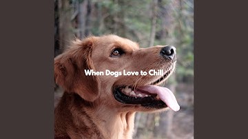 Alluring Backdrops for Free Focus