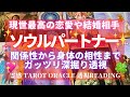 ソウルパートナー✨大恋愛、結婚相手として現世出会う異性✨真実の愛で生涯ご縁が続く最強の魂の結びつきを持っている人💖運命の人 霊感タロット オラクルリーディング