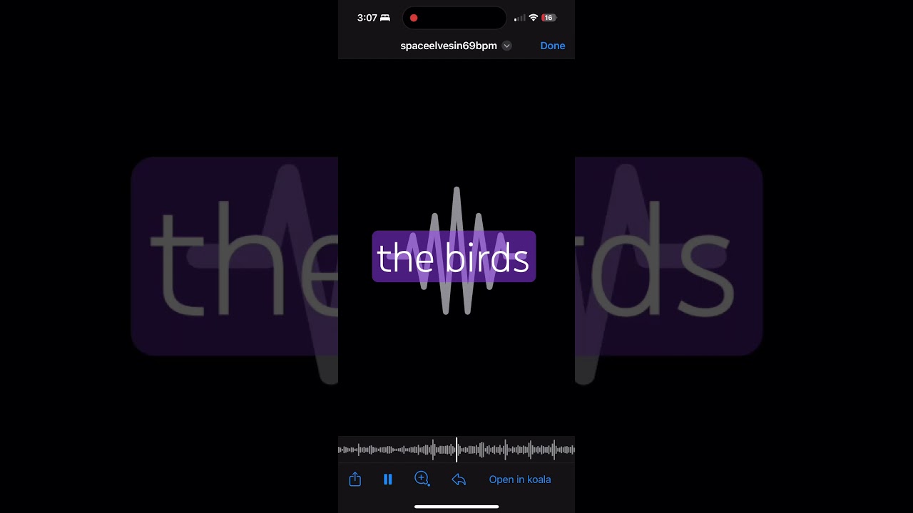 crashed and lost  songs of 