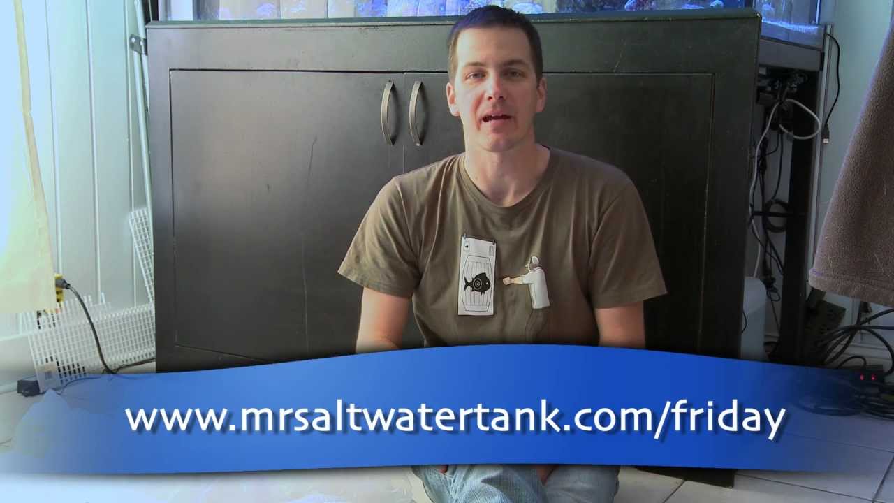 how to videos on tiktok Mr. Saltwater Tank TV Friday Am Quick Tip #103: Keep Your Spouse And Your Tank Happy