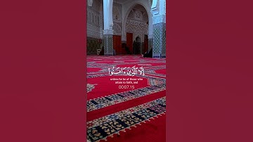 القرآن الكريم سورة العصر بصوت الشيخ فارس عباد ✨♥️🎧