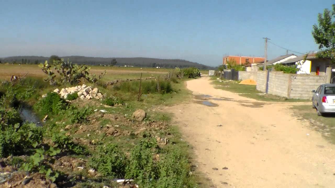 el frine: souffrance