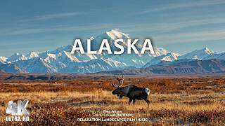 ALASKA 4K UHD | Majestic Ice & Untamed Wilderness - Scenic Relaxation Film with Peaceful Music
