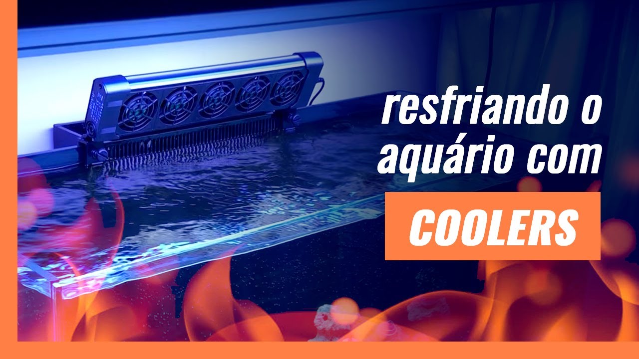 COOLER AQUÁRIO: Como Resfriar a Água Gastando Pouco