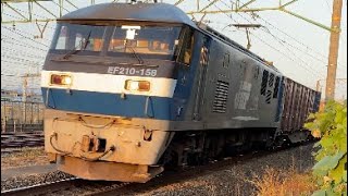 2022/11/9 5075レ　EF210-158+コキ