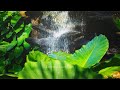 Zen Harmony Music. The Sound of Inner Peace. Reiki Healing. Relaxing Music for Meditation, Yoga