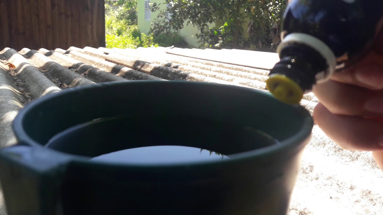 Vitagold para pintinhos recomendo