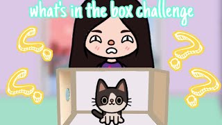 Whats In The Box Challenge Toca Boca Toca Life World Toca Dream