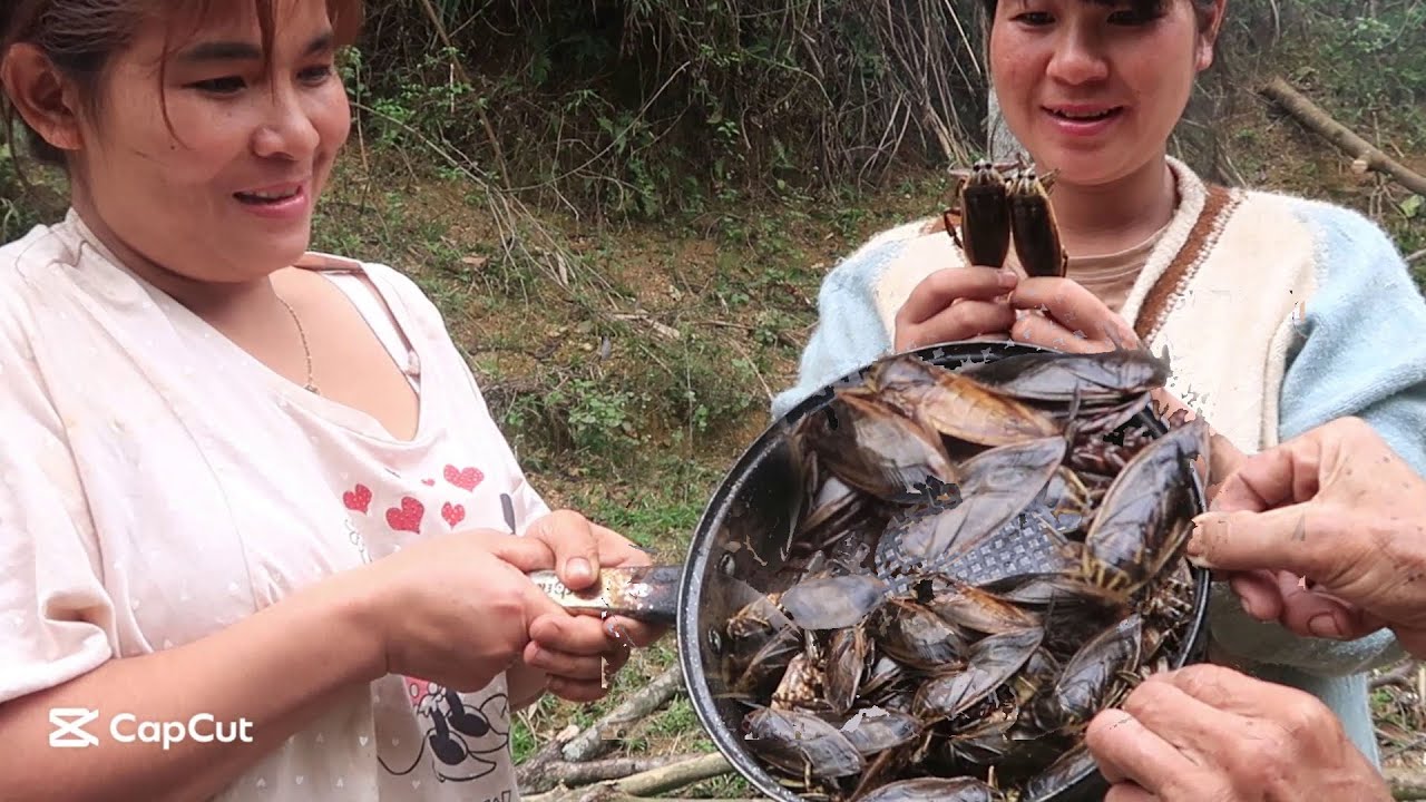 Eating giant water bug | Horror Asian Cuisine